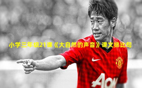 小学三年级21课《大自然的声音》课文排比句