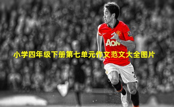 小学四年级下册第七单元作文范文大全图片