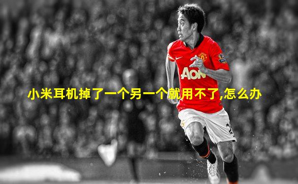 小米耳机掉了一个另一个就用不了,怎么办