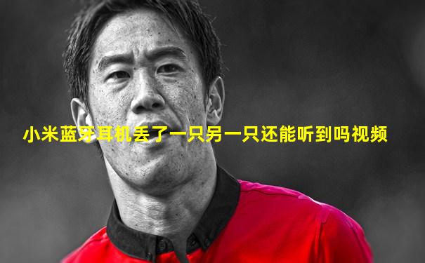 小米蓝牙耳机丢了一只另一只还能听到吗视频