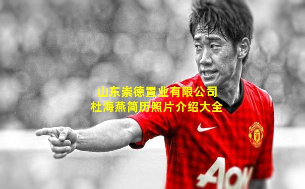 山东崇德置业有限公司杜海燕简历照片介绍大全