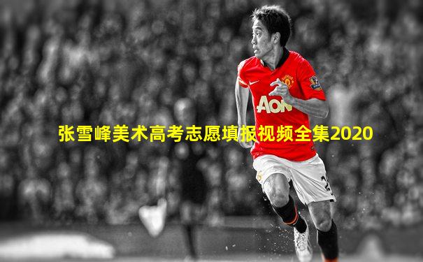 张雪峰美术高考志愿填报视频全集2020