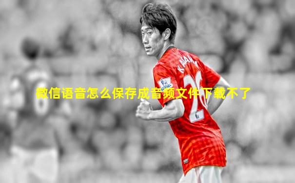微信语音怎么保存成音频文件下载不了