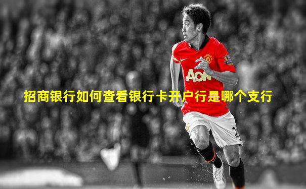 招商银行如何查看银行卡开户行是哪个支行