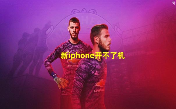 新iphone开不了机