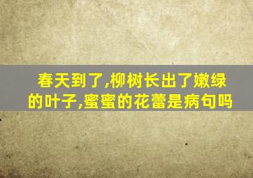 春天到了,柳树长出了嫩绿的叶子,蜜蜜的花蕾是病句吗