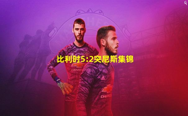 比利时5:2突尼斯集锦