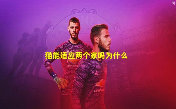 猫能适应两个家吗为什么