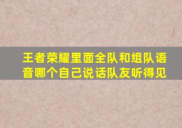 王者荣耀里面全队和组队语音哪个自己说话队友听得见
