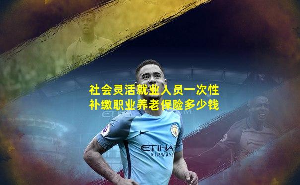 社会灵活就业人员一次性补缴职业养老保险多少钱