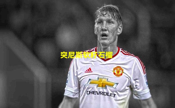突尼斯软籽石榴