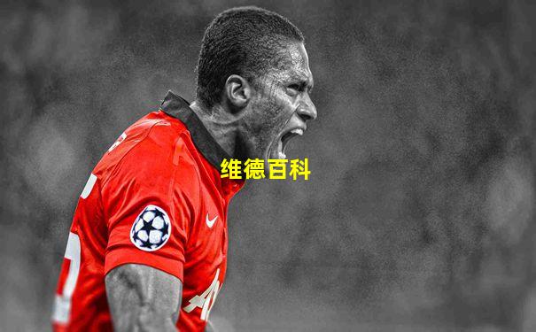 维德百科