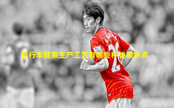 自行车链条生产工艺有哪些种类和特点