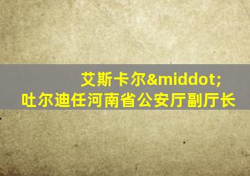 艾斯卡尔·吐尔迪任河南省公安厅副厅长