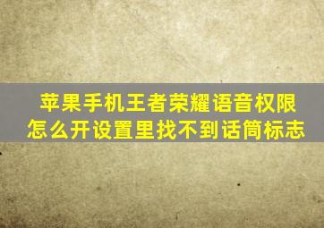 苹果手机王者荣耀语音权限怎么开设置里找不到话筒标志