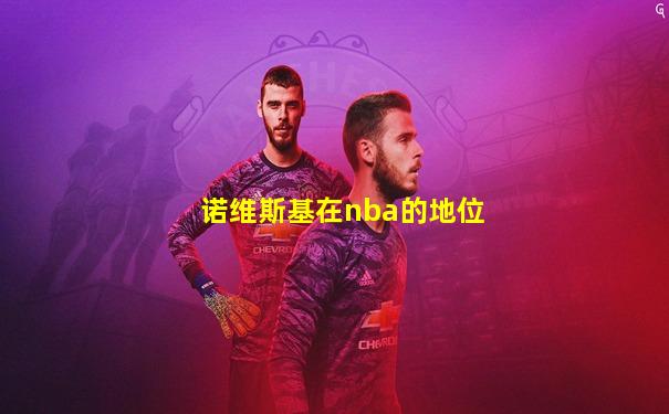 诺维斯基在nba的地位