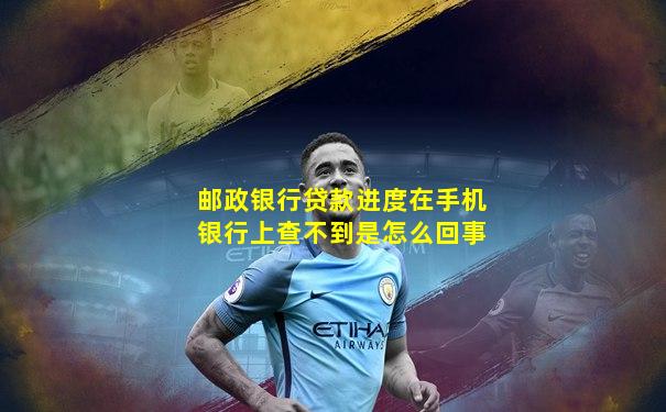 邮政银行贷款进度在手机银行上查不到是怎么回事