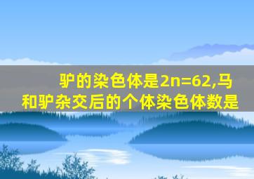 驴的染色体是2n=62,马和驴杂交后的个体染色体数是